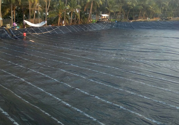 Agricultural Pond Liners