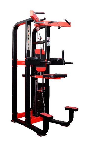 Normal Assisted Dip Chin Machine, for Gym, Certification : ISI Certified