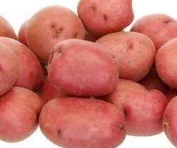 Organic Lady Rosetta Potato