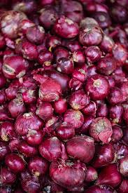 fresh red onion