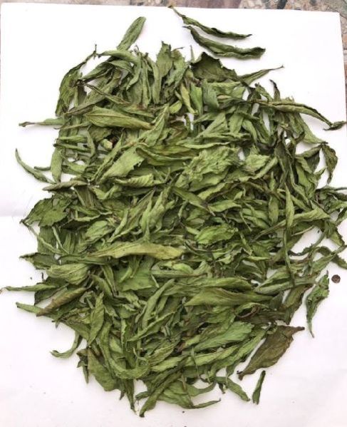 Stevia Leave