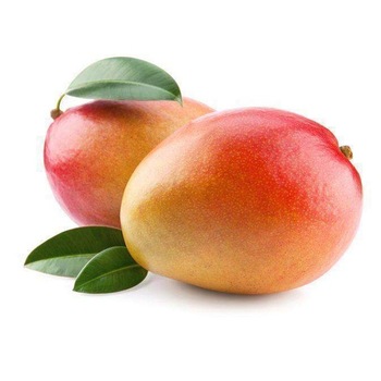 Organic mango, Variety : Kent, Neem Leaves