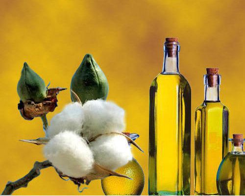 Cottonseed oil, Shelf Life : 1Year