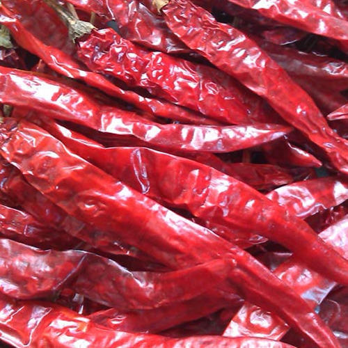 Organic Long Dried Red Chilli, Packaging Type : Jute Bag, Pp Bag