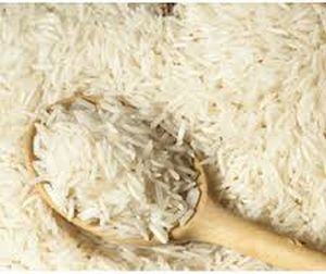 Hard Organic long grain basmati rice, Packaging Size : 10kg, 20kg