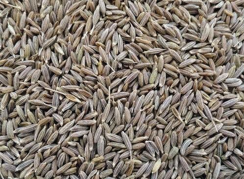 Natural Cumin Seeds, for Cooking, Feature : Healthy, Improves Acidity Problem