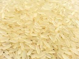Hard Organic Sugandha Non Basmati Rice, for Human Consumption, Variety : Long Grain
