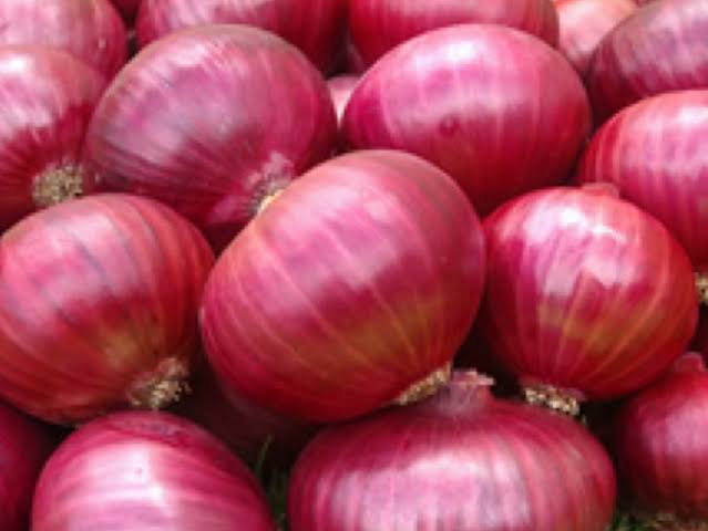 Organic fresh onion, Shelf Life : 1month