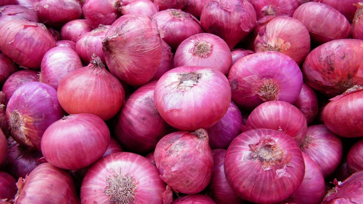 Organic fresh red onion, for Cooking, Enhance The Flavour, Human Consumption, Size : Large, Medium