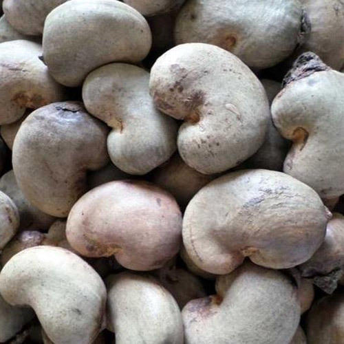 Organic raw cashew nuts, for Food, Snacks, Packaging Size : 10kg, 2kg, 5kg