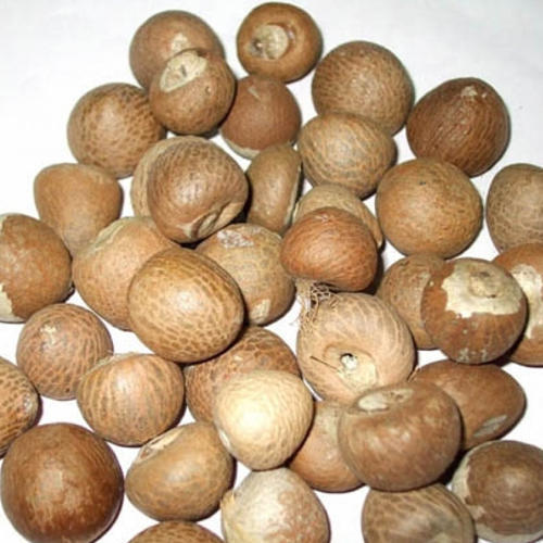 Natural Betel Nuts