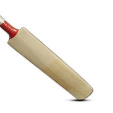 Fire English Willow Cricket Bat, Handle Material : Rubber