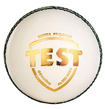 Printed Leather Test White Cricket Ball, Inside material : Stone