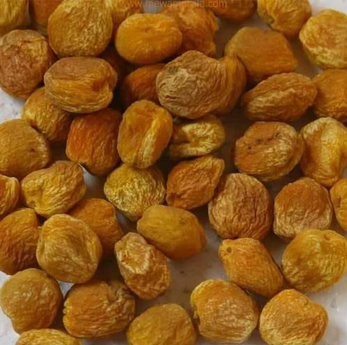 Healthy Dried Apricots
