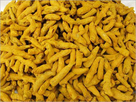 Natural Salem Turmeric Finger, Color : Yellow