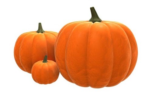 Round Organic Fresh Pumpkin, Packaging Size : 10-20kg