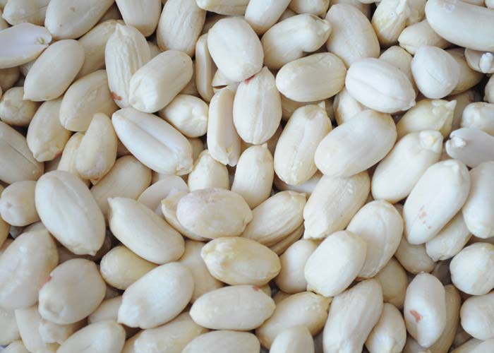 Organic Blanched Peanut Kernels, Packaging Size : 1Kg, 250gm, 500gm