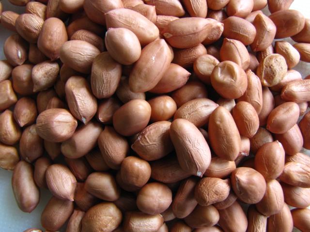 Organic Natural Peanut Kernels, for Making Oil, Packaging Type : Jute Bag, Plastic Packet