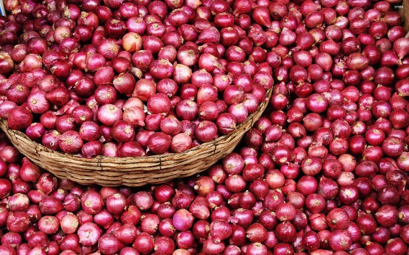 Organic Rose Onion, for Human Consumption, Packaging Type : Net Bags, Plastic Bags