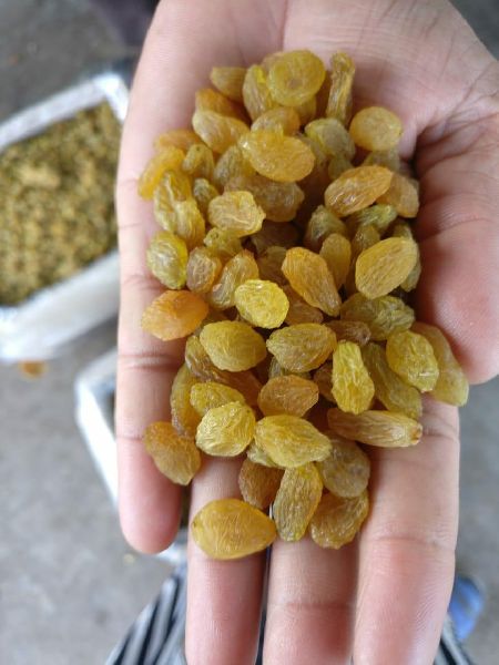 fleet farm golden raisins
