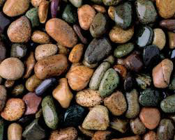 pebbles and Garden