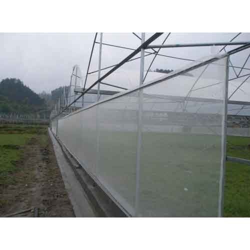 Plastic Plain Greenhouse Insect Net, Technics : Machine Made