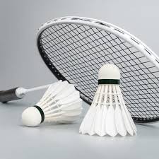 Badminton Cork