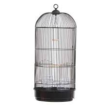 Bird Cage, Feature : Eco-Friendly