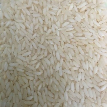 Organic Sona Masoori Steam Rice