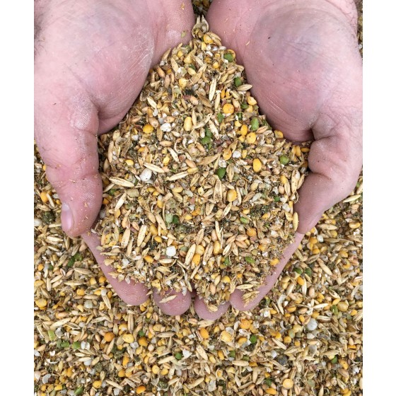 Layer Pellet Poultry Feed