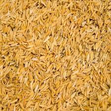 Hard Rice Husk, for Cooking, Food, Human Consumption, Packaging Type : 5kg
