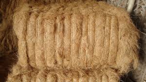 Coir Fibre, Pattern : Raw