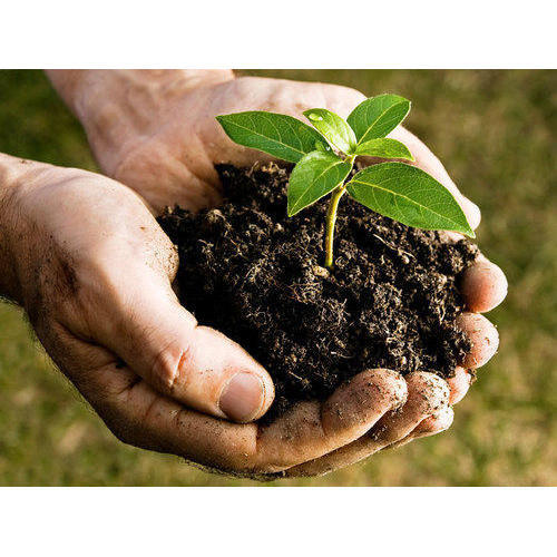 Bio Organic Fertilizer, for Agriculture