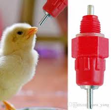 Plastic Poultry Nipple Drinker