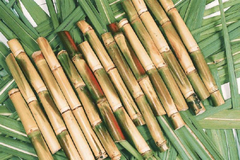 Sugarcane, for Jaggery, Size : 0-5ft, 5-10ft
