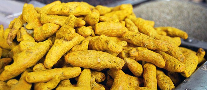 Organic turmeric finger, for Ayurvedic Products, Cooking, Cosmetic Products, Packaging Type : Plastic Bag