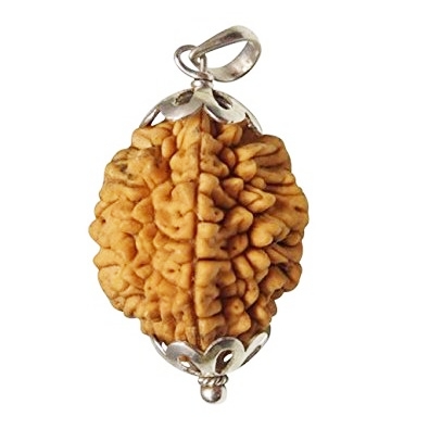Brass Mukhi Rudhraksha Pendant, for Religious, Variety : 1-5Mukhi, 5-10Mukhi
