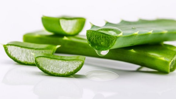 Aloe Vera Pulp, for Parlour, Personal, Packaging Type : Drum, Plastic Pouch