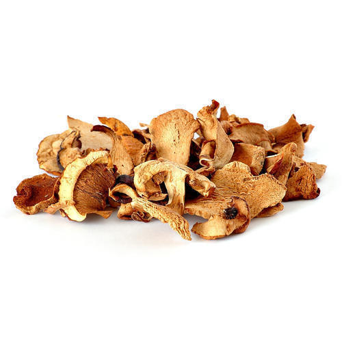 Organic Dried Oyster Mushroom, for Cooking, Oil Extraction, Packaging Type : Plastic Bag