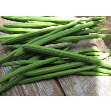 Organic Fresh Long Drumstick, Color : Green