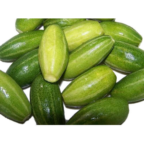 Organic Natural Pointed Gourd, Feature : Healthy, Nutrition
