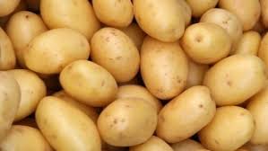 Organic Potato
