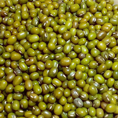Whole Organic Green Gram Dal, for Human Consumption, Feature : Healthy To Eat, Non Harmful