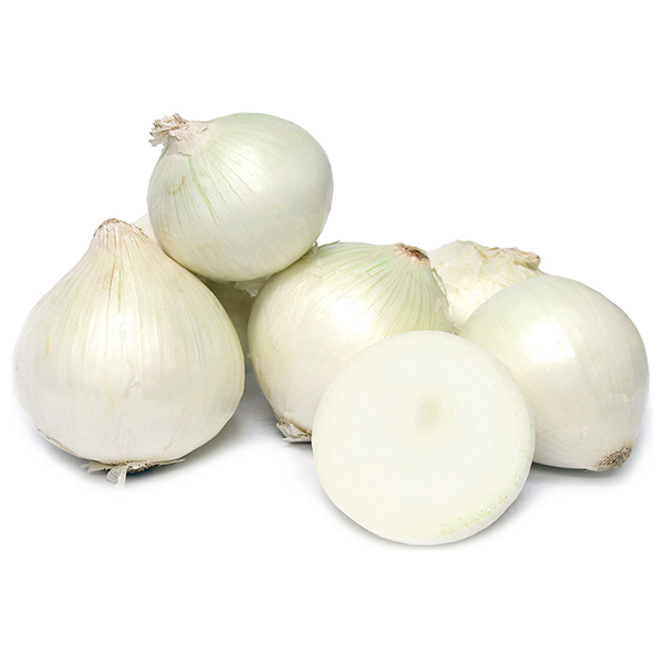 Fresh  White Onion