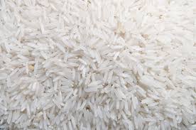 Hard Organic White Basmati Rice, for Gluten Free, High In Protein, Variety : Medium Grain