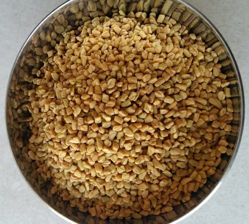 Fenugreek Seed at best price INR 49 / Kilogram in Neemuch Madhya Pradesh  from D V Trading Company | ID:4937409