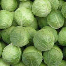 Organic Fresh Natural Cabbage