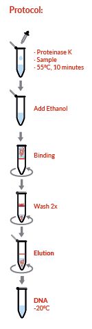 Blood and Tissue DNA Isolation Kit