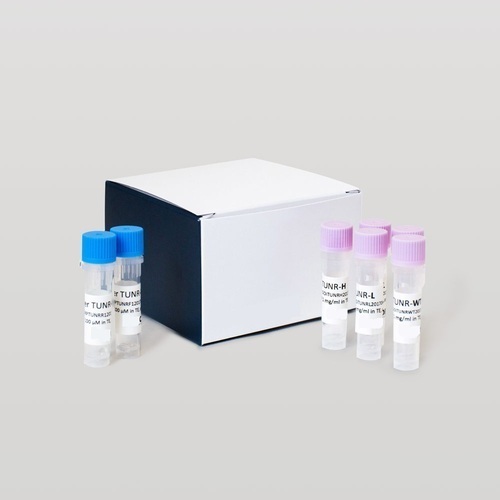 DNA & RNA Isolation Kit