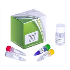 Tissue Direct PCR Kit, Feature : Easy To Use